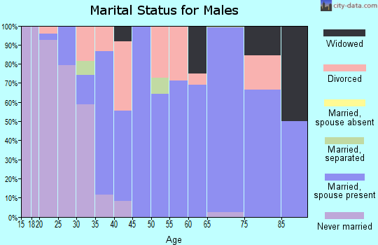 Zip code 28723 marital status for males