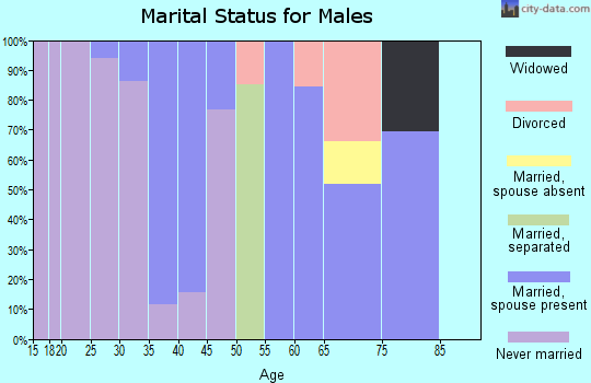 Zip code 28726 marital status for males