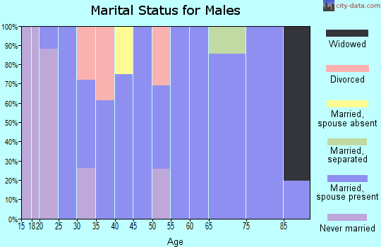 Zip code 28729 marital status for males