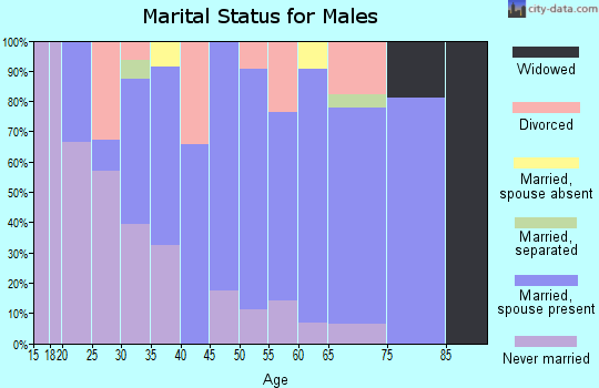 Zip code 28730 marital status for males