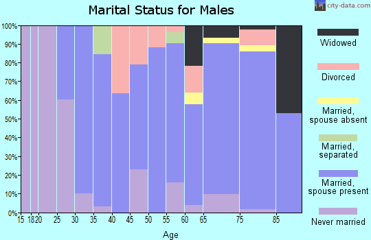 Zip code 28731 marital status for males