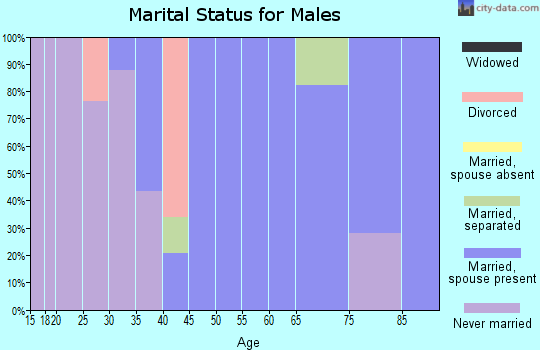 Zip code 28740 marital status for males