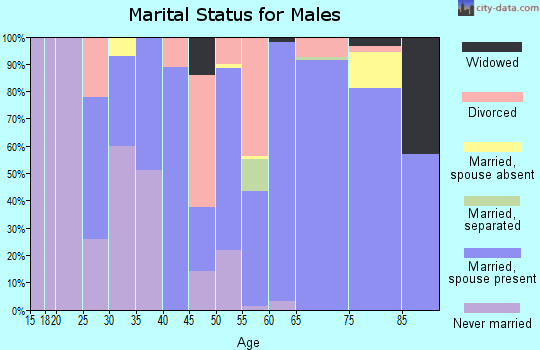 Zip code 28741 marital status for males