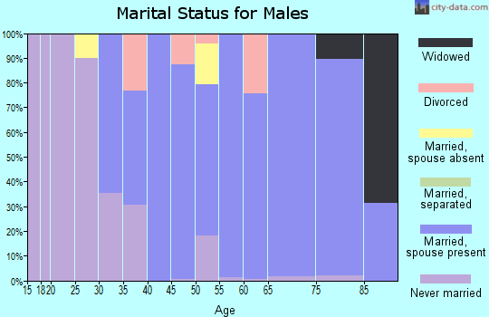Zip code 28742 marital status for males