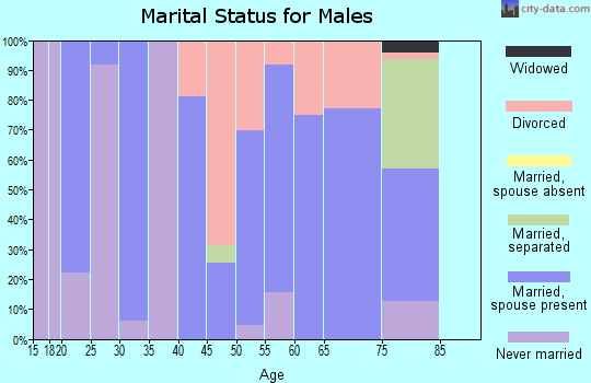 Zip code 28743 marital status for males