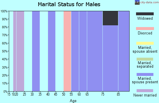 Zip code 28745 marital status for males