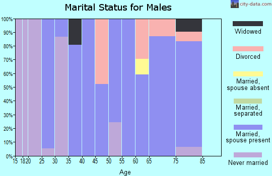 Zip code 28747 marital status for males