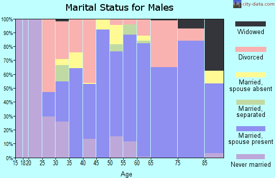 Zip code 28751 marital status for males
