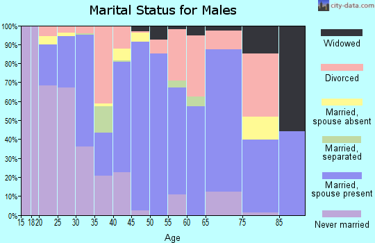 Zip code 28753 marital status for males