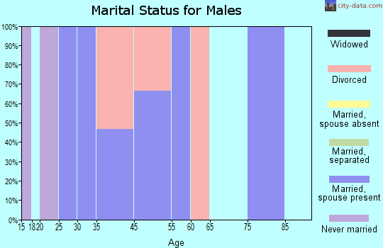 Zip code 28755 marital status for males