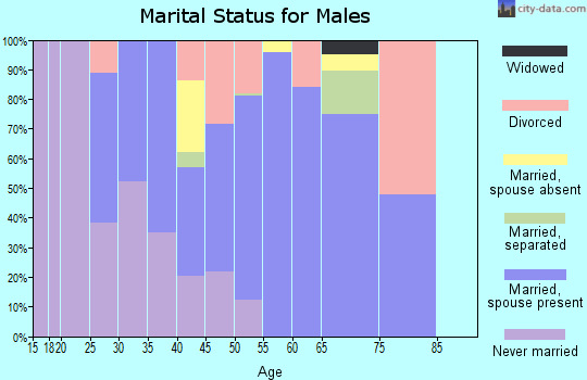 Zip code 28756 marital status for males