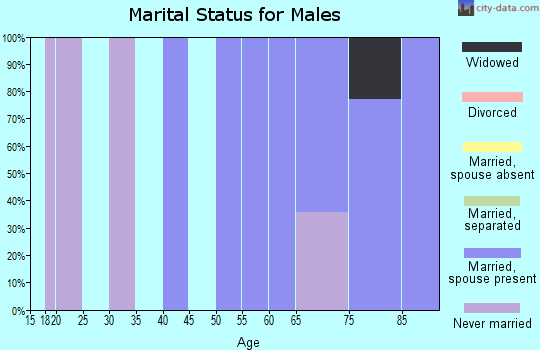 Zip code 28757 marital status for males