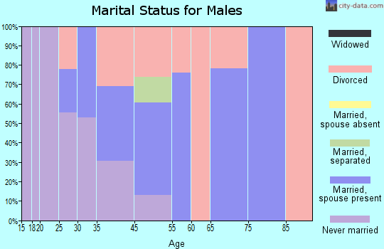 Zip code 28758 marital status for males