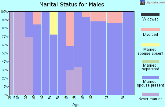 Zip code 28763 marital status for males