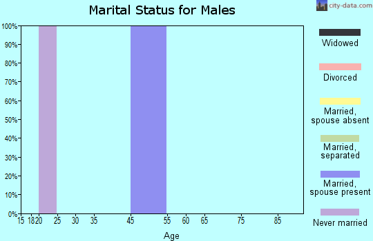 Zip code 28765 marital status for males