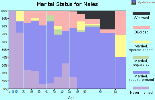 Zip code 28771 marital status for males
