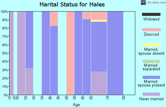 Zip code 28772 marital status for males