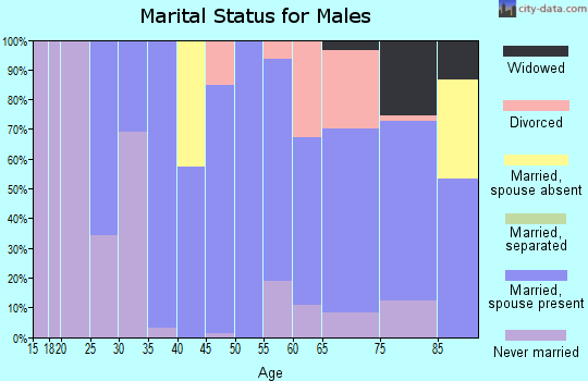 Zip code 28773 marital status for males