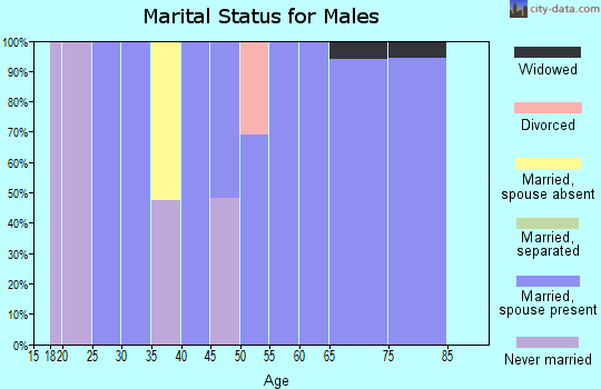 Zip code 28774 marital status for males