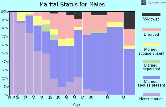 Zip code 28777 marital status for males