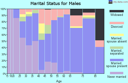 Zip code 28779 marital status for males