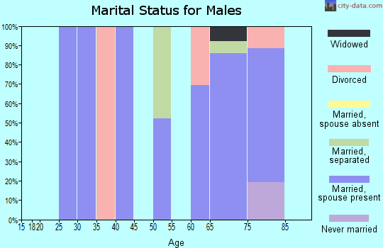 Zip code 28781 marital status for males