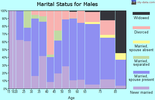 Zip code 28782 marital status for males