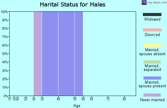 Zip code 28784 marital status for males