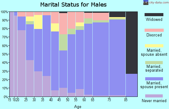 Zip code 28787 marital status for males