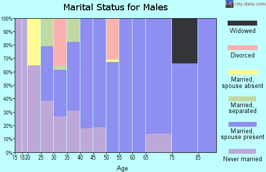 Zip code 28790 marital status for males