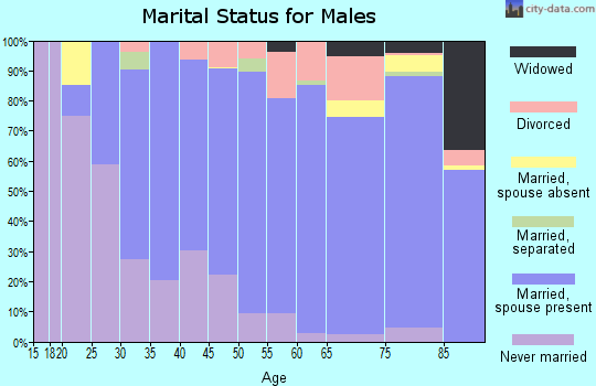 Zip code 28791 marital status for males