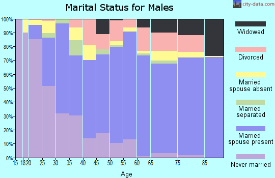 Zip code 28792 marital status for males