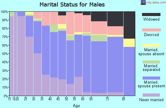 Zip code 28806 marital status for males