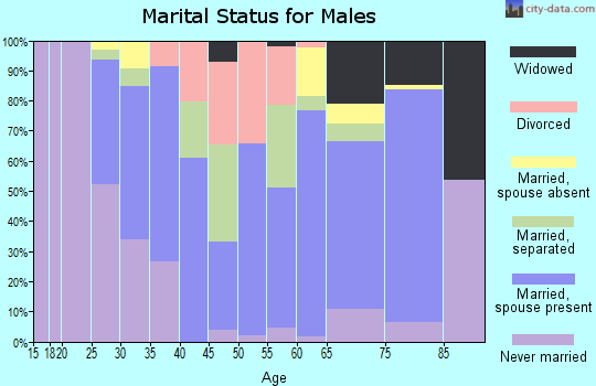 Zip code 28901 marital status for males