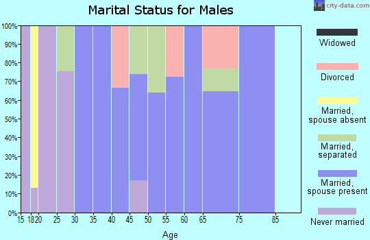 Zip code 28902 marital status for males