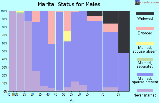 Zip code 28904 marital status for males
