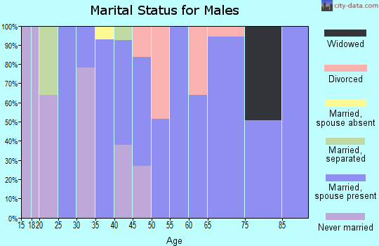 Zip code 28905 marital status for males