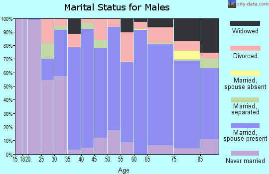 Zip code 28906 marital status for males