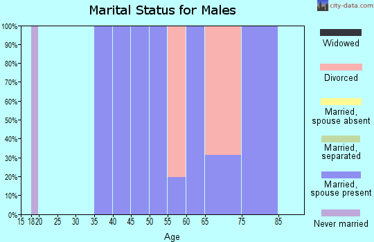 Zip code 28909 marital status for males