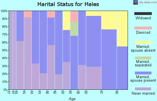 Zip code 29001 marital status for males