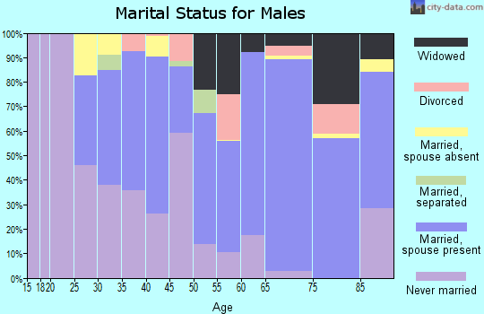 Zip code 29003 marital status for males