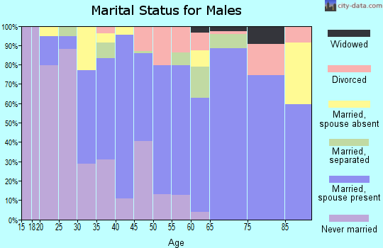 Zip code 29006 marital status for males