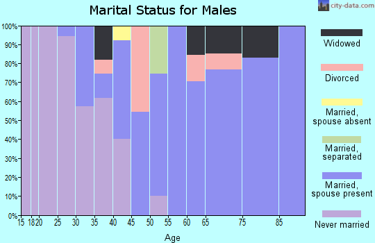 Zip code 29009 marital status for males