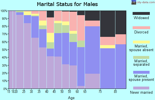Zip code 29010 marital status for males