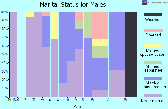 Zip code 29015 marital status for males