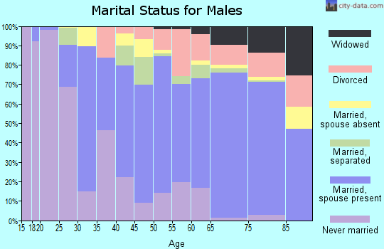 Zip code 29020 marital status for males