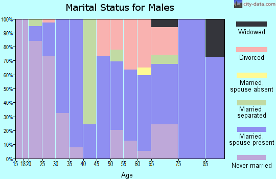 Zip code 29030 marital status for males