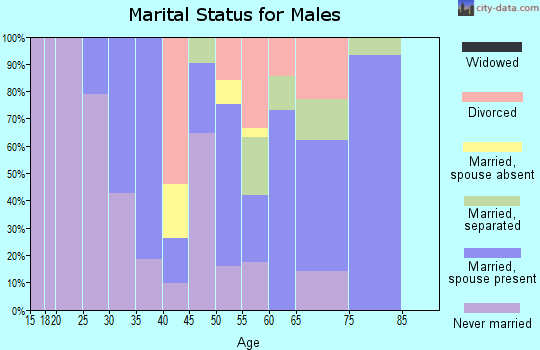 Zip code 29031 marital status for males