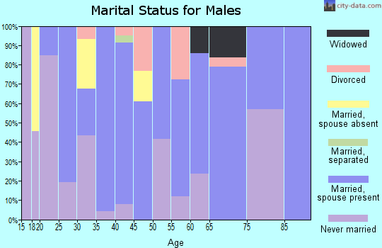 Zip code 29032 marital status for males