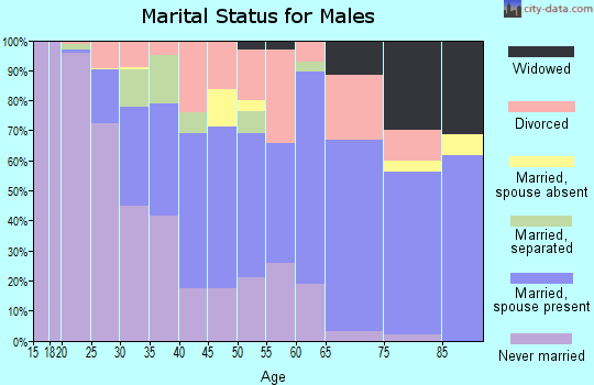 Zip code 29033 marital status for males
